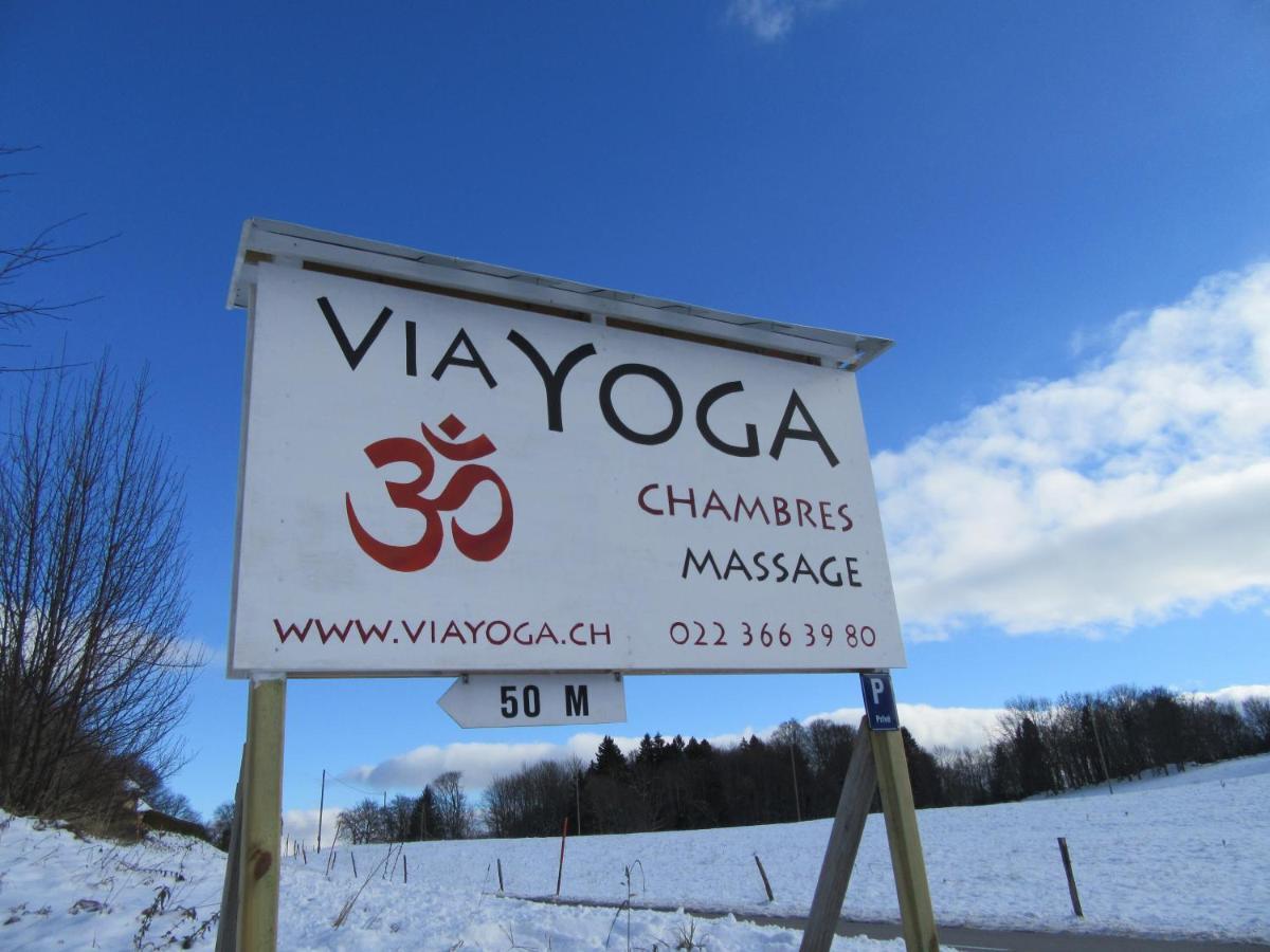 ホテル Centre Viayoga サン・セルグ エクステリア 写真